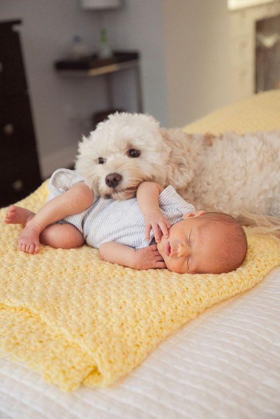 Cuccioli che Passione Faloppio: la guida completa alla salute del cucciolo